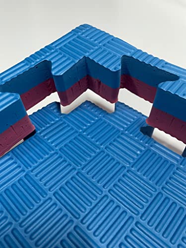 Mugar- Suelo Tatami Puzzle 4 cms. 1 m. x 1 m. Esterilla Goma Espuma- Tatami Puzzle Ideal Artes Marciales, Judo, Suelo Tatami Japonés | Grosor: 4cm (Azul Y Rojo)